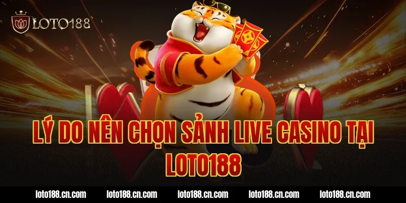 Lý do nên chọn sảnh live casino tại loto188