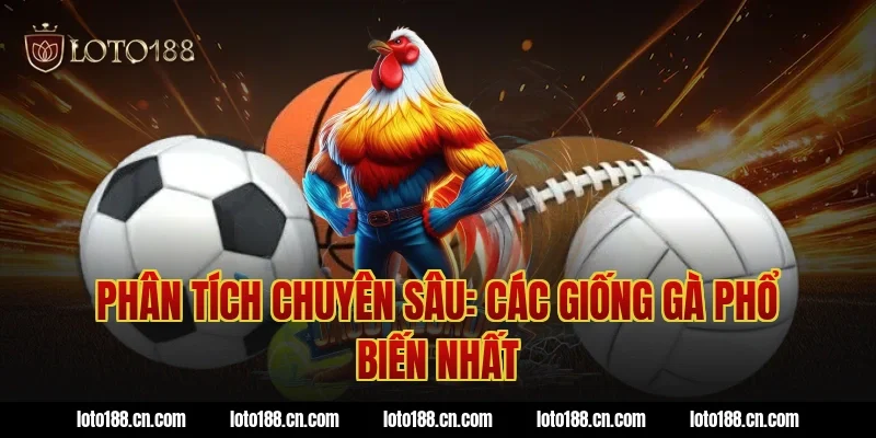 Phân Tích Chuyên Sâu: Các Giống Gà Phổ Biến Nhất